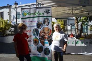 I Feria de Participación Ciudadana y del Voluntariado de Telde (Foto TA)